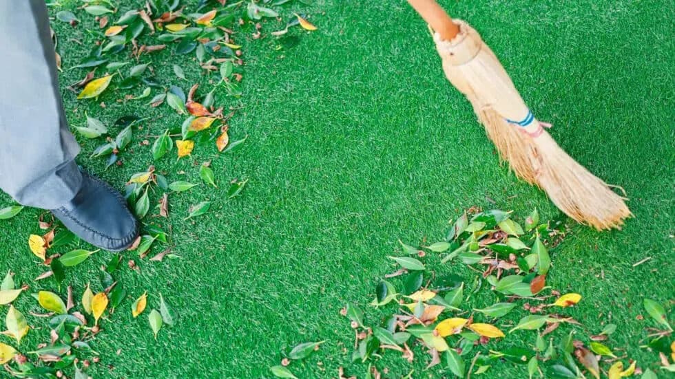 Natural bristle broom sweeping up leaves on artificial turf