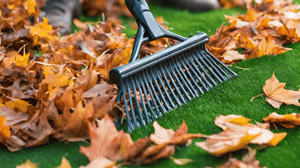 Soft bristle rake cleaning up leaves on artificial turf