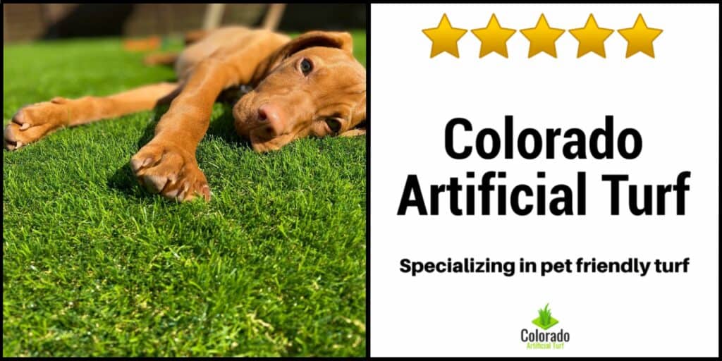 Colorado Artificial Turf Specialists in Pet Friendly Turf Banner