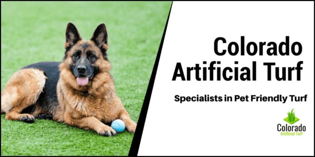Colorado Artificial Turf Specialists in Pet Friendly Turf banner