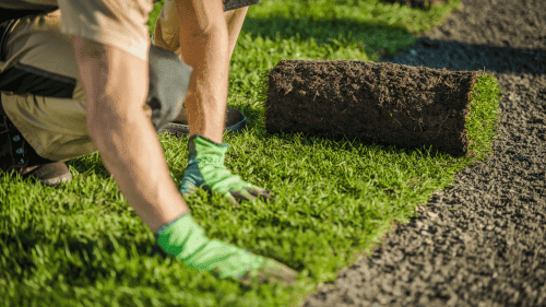 Installing real grass