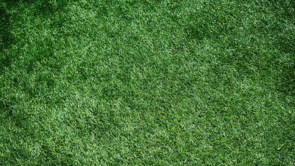 Comparing Artificial Grass with Real Grass - Lush Artificial Grass. 