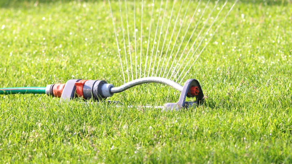 Water sprinkler on real grass