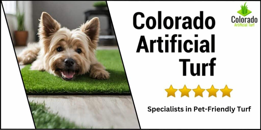 Colorado Artificial Turf Specialists in Pet-Friendly Turf banner with dog on artificial grass
