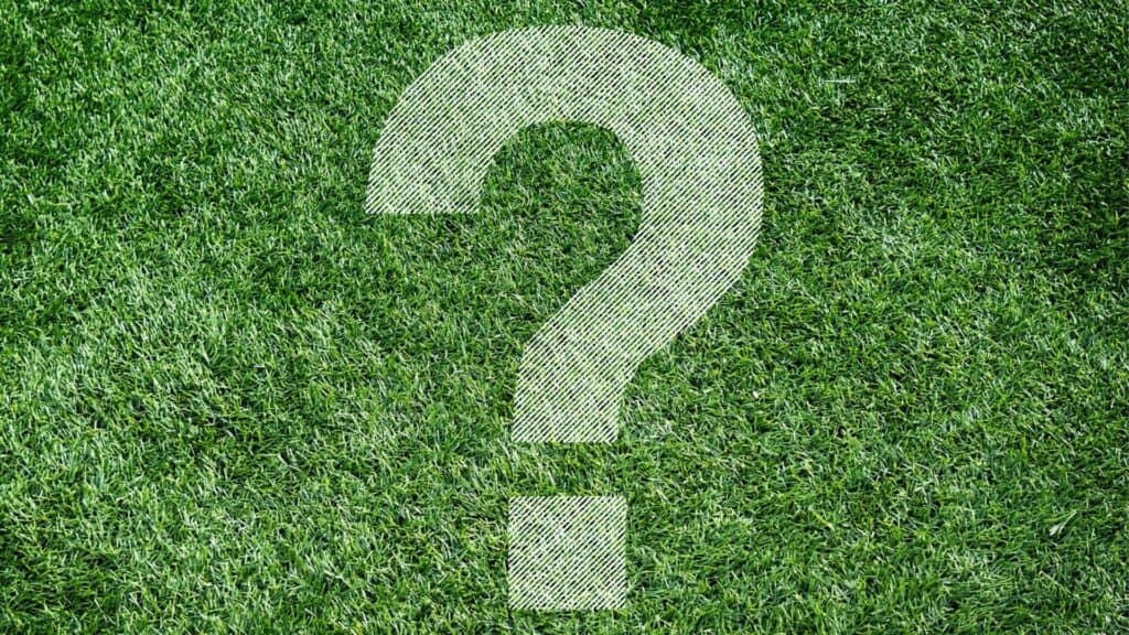 White Question mark on artificial turf background