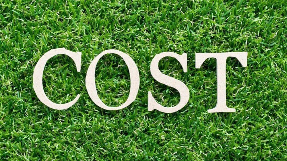 Cost of Artificial Grass vs Real Grass
