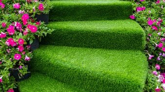 Steps covered with artificial grass