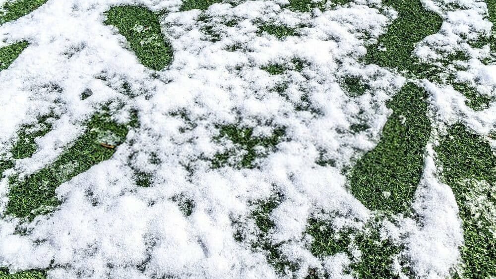 Snow on artificial turf